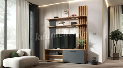 Гостиная Каролина (Дуб вотан/Графит)