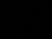 Стеновая панель БТС 3 м (Черный)