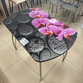 Стол обеденный Волна-2 В5 (Орхидея С013)